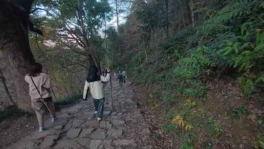 林间小路众人徒步登山的场景