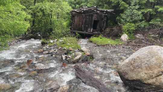 森林溪流旁的破旧木屋