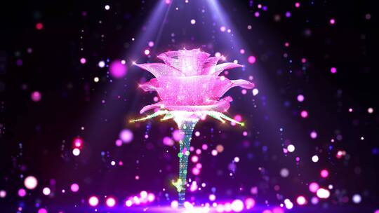 玫瑰花朵舞台背景视频素材模板下载