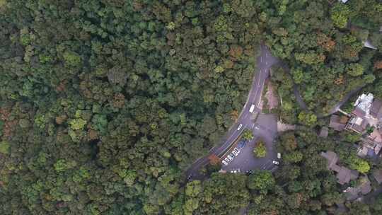 穿梭在树林中的道路航拍