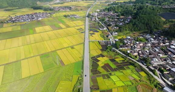 俯拍金黄稻田村庄和公路