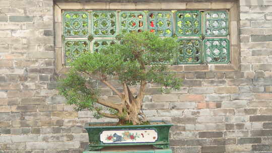 中式古典园林建筑花窗户盆栽盆景视频素材模板下载
