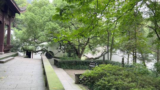 4k 杭州西湖江南园林山水风景
