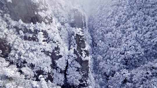 梵净山雪后云海仙境