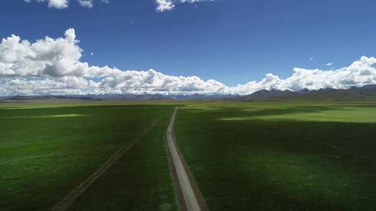 西藏理塘大草原