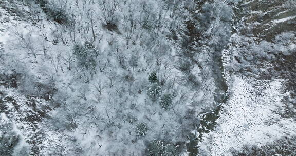 航拍冬天雪地山林