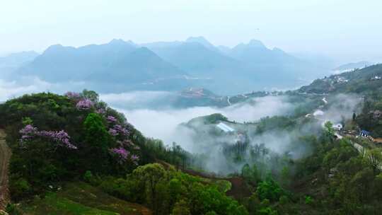 陕西秦岭镇安县海棠山