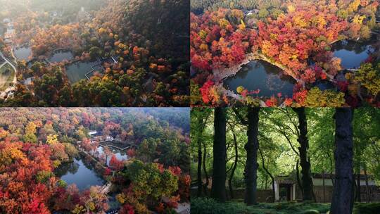 苏州园林 秋日古建筑园林 天平山高清在线视频素材下载