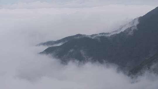 自然风景山区清晨云海翻腾直录4K航拍唯美
