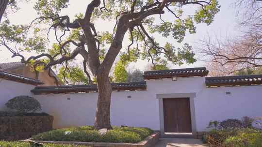 中式园林庭院建筑风景