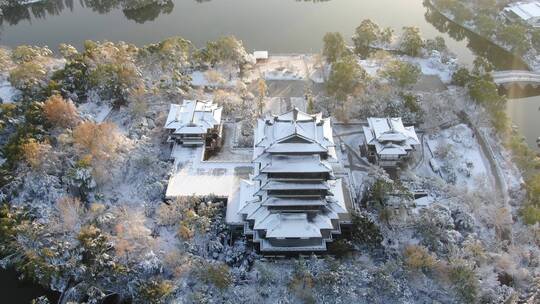 济南 大明湖 5A 景区 雪景视频素材模板下载