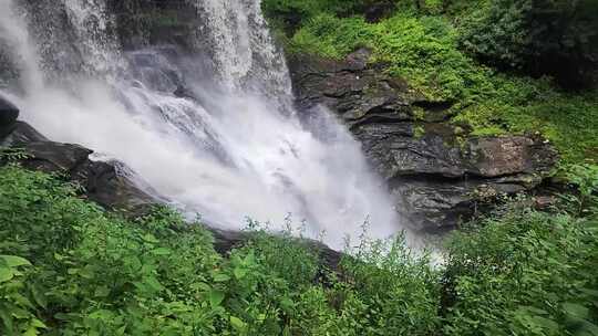 森林花丛高山瀑布流水