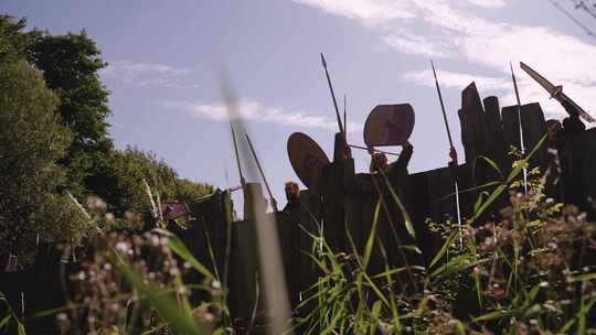 部落、战争、维京人、军队