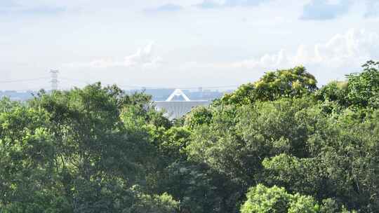 上海天马山天文台射电望远镜航拍