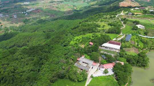 高山茶叶庄园