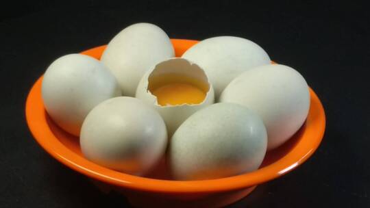 乌鸡蛋绿壳鸡蛋