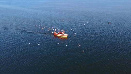航拍滇池游船与海鸥