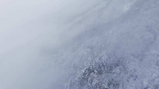 冬天雪景树林雾凇