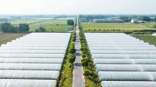 航拍农田蔬菜大棚场景