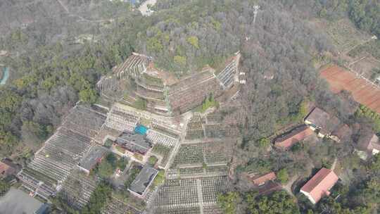 武汉洪山区石门峰纪念公园航拍