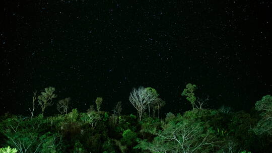 森林上方的星空