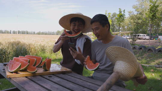 农民在田头吃西瓜
