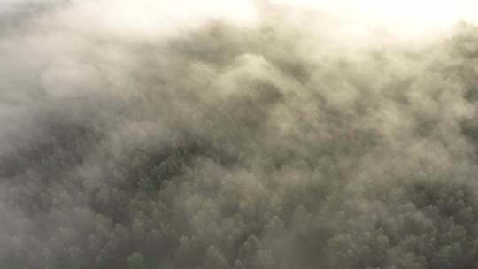 航拍大兴安岭扎敦河湿地晨雾风景