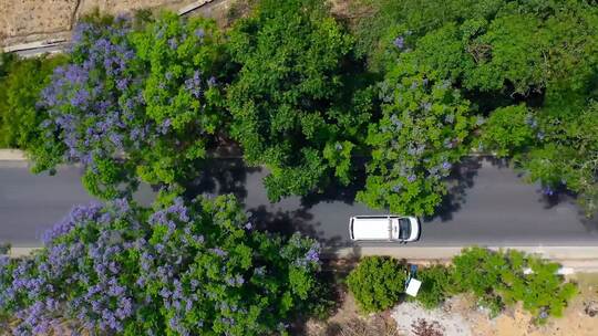 美丽公路