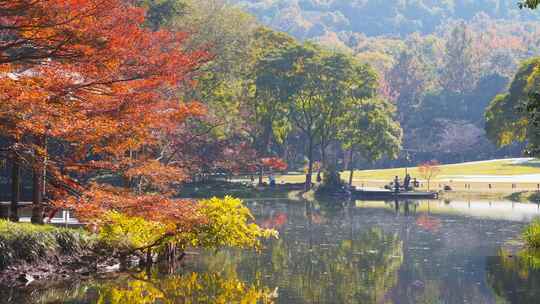 杭州西湖太子湾公园秋天风景