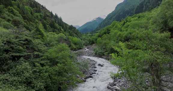 川西四姑娘山山谷雪山河流大气唯美航拍风光