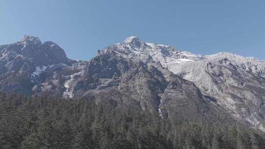 航拍丽江云杉坪雪山和树林