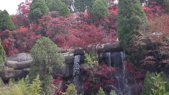 济南红叶谷景区，秋季满山红叶景观