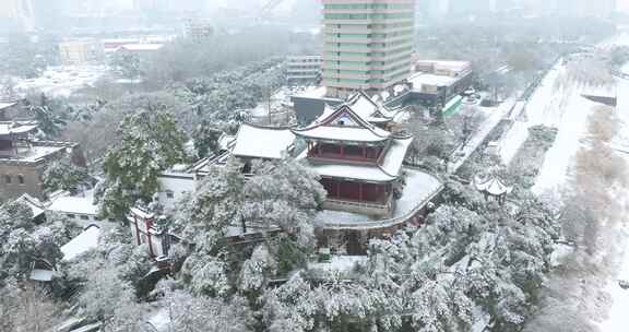 武汉晴川阁公园雪景风光