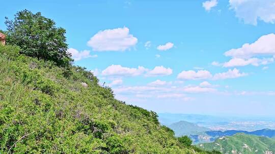 夏季蓝天白云绿色大山山顶全景风光