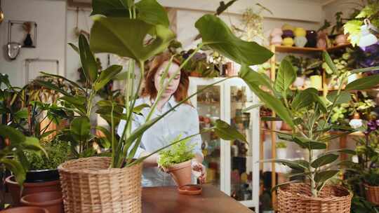 女人，花店，植物园，温室