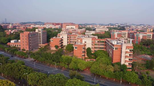 广州大学城中山大学