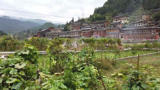 泛右中国传统村庄与花园前景