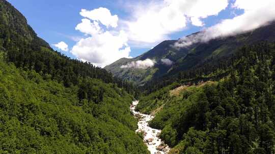 山林间河流自然风光
