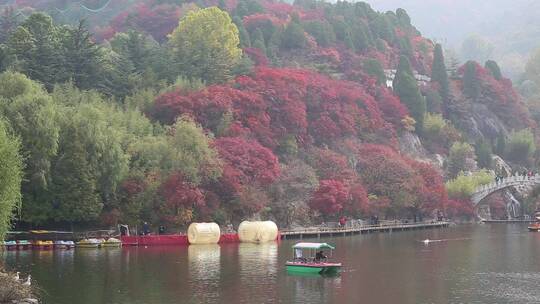 济南红叶谷景区，秋季满山红叶景观视频素材模板下载