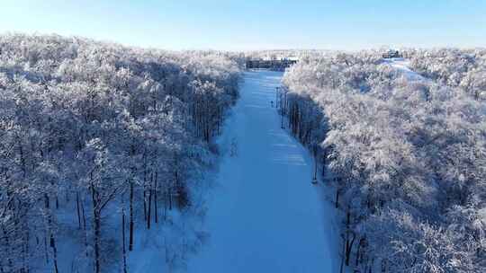 航拍 雪覆盖了山林