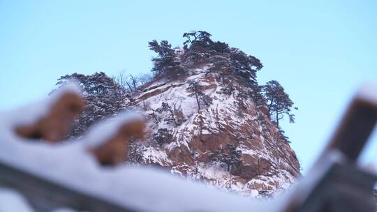 故宫雪景