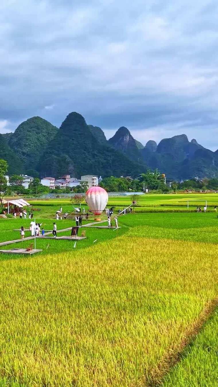 广西桂林阳朔十里画廊农田丰收航拍竖拍合集