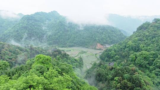 航拍青山田园溪水农舍