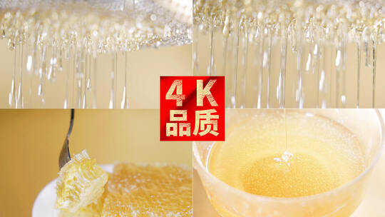 4k蜂蜜蜂巢特写慢动作视频合集