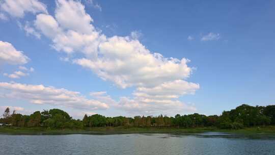 【合集】秋天阳光太湖湿地生态森林休闲度假