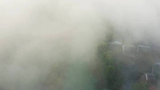 杭州西溪湿地公园清晨晨雾云雾缭绕空镜