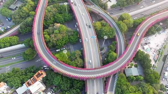 广州新滘西路立交桥