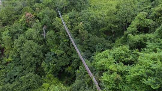 航拍户外活动森林里吊桥