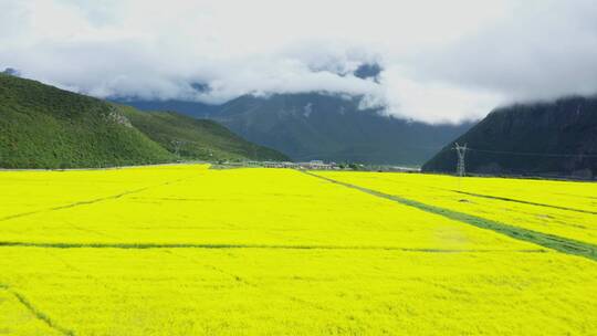 航拍波密桃花沟内的大片油菜花