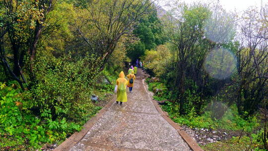 森林山谷高原藏族室外桃源